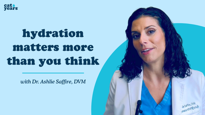 hydration matters more than you think