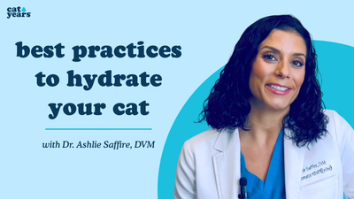 best practices to hydrate your cat