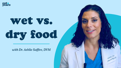 wet vs dry food. What is better for my cat?