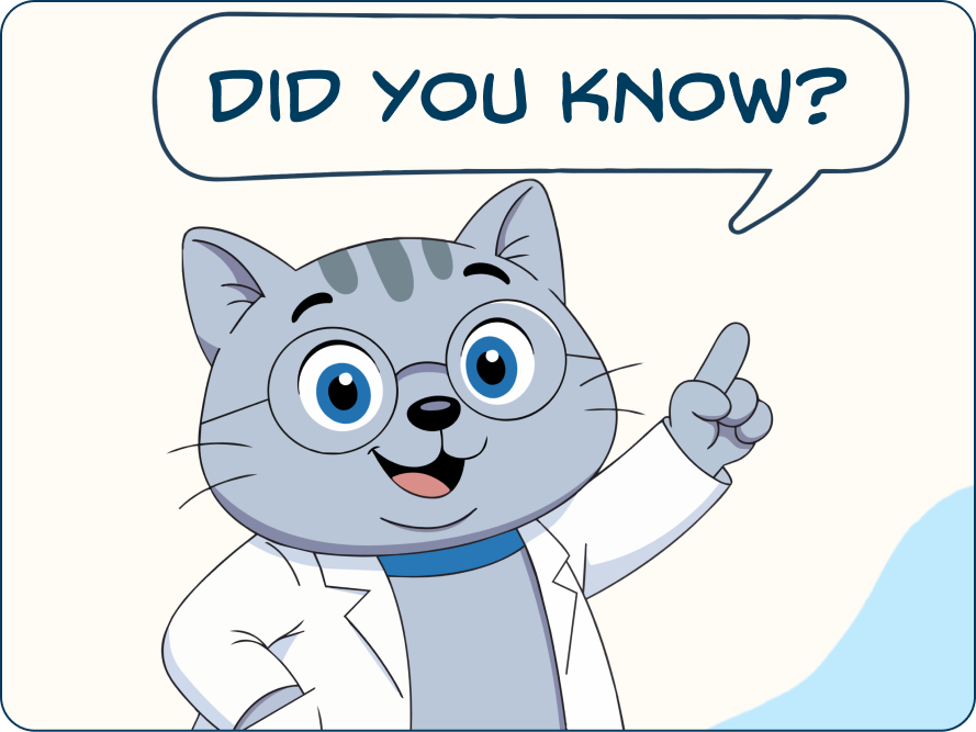 Cat Years